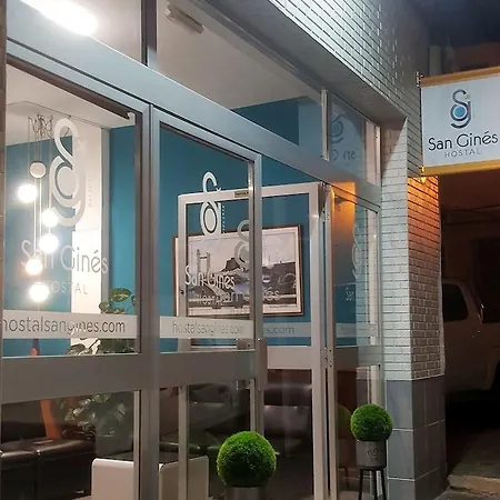 San Gines ゲストハウス アレシフェ