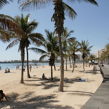 San Gines * أرّاثيفي